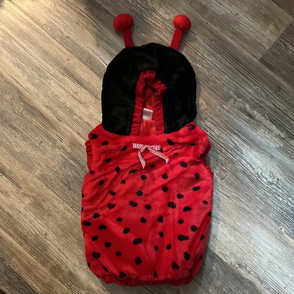 Celebration Halloween Lady bug infant costume size 12-24 months